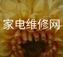 健美蜜本武漢地展視頻