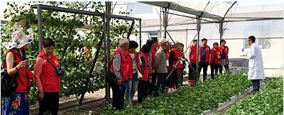 蔬菜種子，幾百萬(wàn)種植戶(hù)的選擇