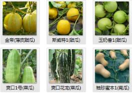 <b>各品種的客戶點(diǎn)評(píng)</b>