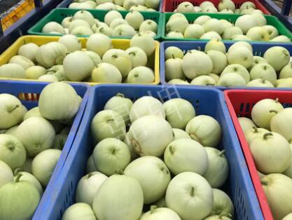 蔬菜種子種植戶客戶點評-5元1斤，這個新品種真香甜！