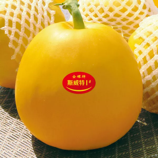 薄皮甜瓜，哪個(gè)品種最好呢？畝產(chǎn)高達(dá)10萬，附4種市場爆款品種