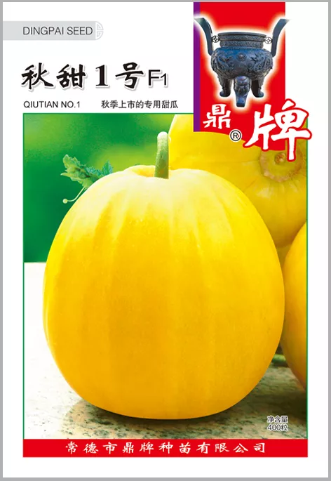 高溫季節(jié)種植甜瓜，什么品種最好？這個(gè)品種是秋季上市的專用品種