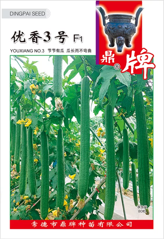 它是絲瓜種植戶的新選擇，節(jié)節(jié)有瓜，瓜長而不彎曲