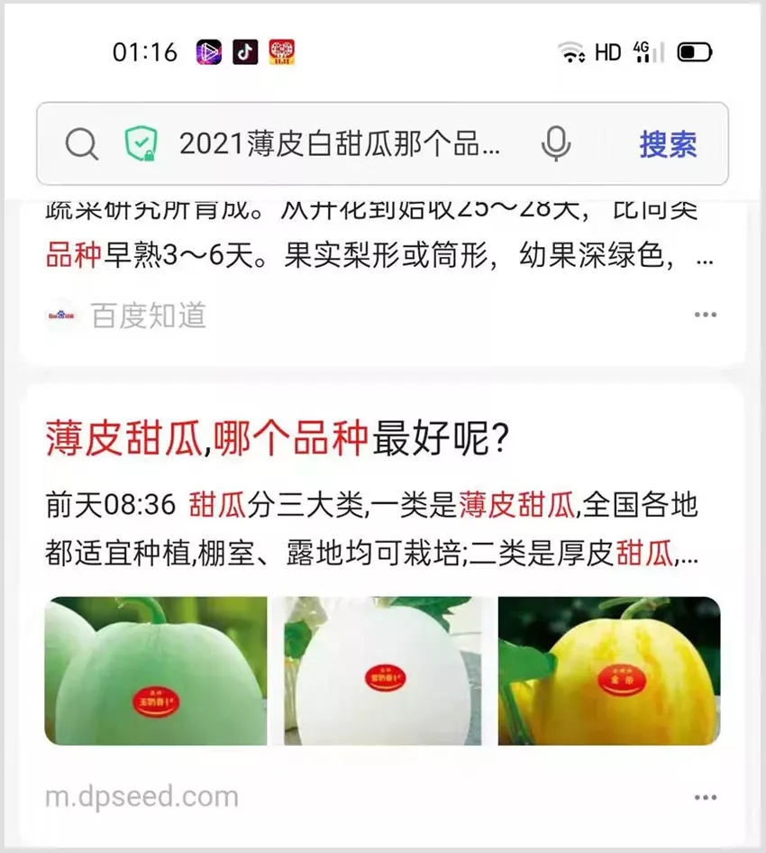 河南焦作的李向林今年種植甜瓜新品種，客戶直接拉貨走人