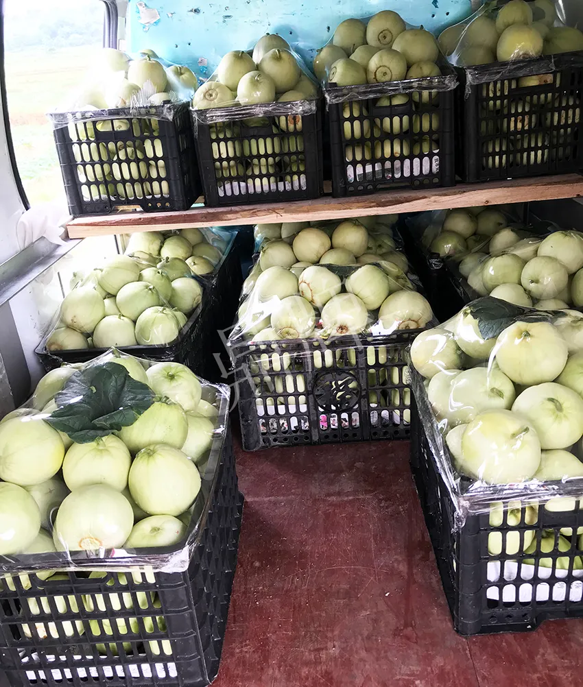 郴州農(nóng)戶種植新品種，果實(shí)又香又甜，很好賣