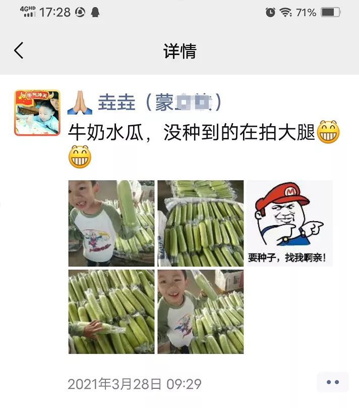 這個絲瓜每畝能掙3萬，沒種植的農(nóng)戶后悔得拍大腿