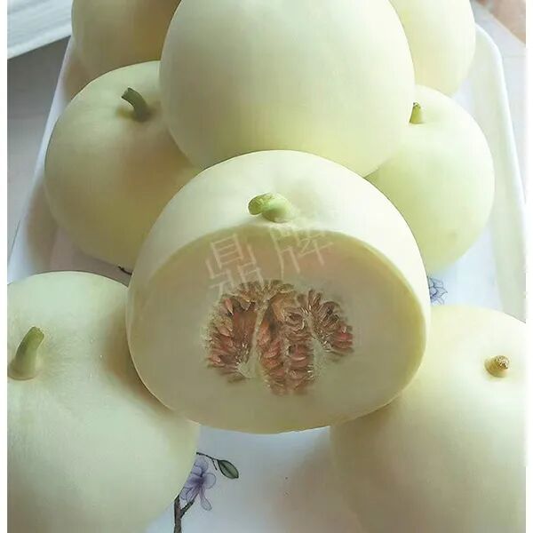 蔬菜種子種植戶(hù)種植心得-這個(gè)品種幫我留一些，4月份我們當(dāng)?shù)剡€要種一批